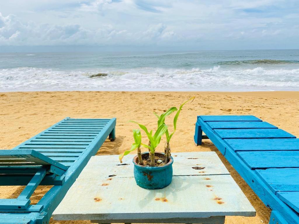 Ramya Ru Beach Home 갈레 외부 사진